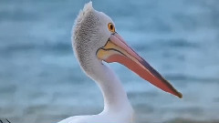 音乐短片 - 天长地久