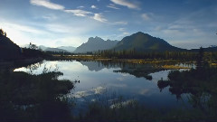 音乐短片 - Various Artists