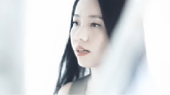 海鸥