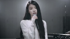 IU - 膝盖(Knees)