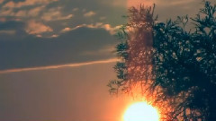 音乐短片 - Любимый