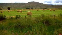 音乐短片 - Prairie Moon