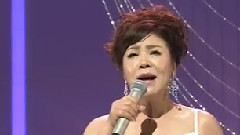 日本群星 - 川の流れのように