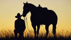 音乐短片 - 鸿雁