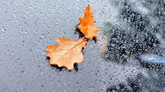 音乐短片 - Моя душа - всего лишь Осень