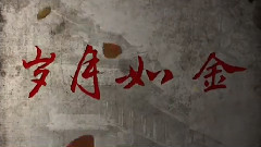 群星 - 岁月如今
