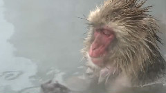 音乐短片 - 温泉