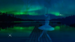 音乐短片 - Je Vais t'aimer