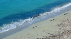 音乐短片 - 塞浦路斯的色彩 The Colors of Cyprus