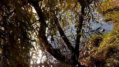 音乐短片 - Sunset Dream