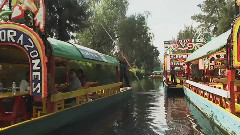 音乐短片 - 墨西哥城 Mexico City