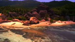 音乐短片 - 荣誉和荣耀 Honour And Glory