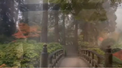 音乐短片 - 爱的情不自禁