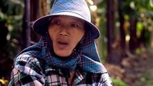 蔡依林 - 蔡依林演唱会纪录片 叶永志篇