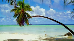 音乐短片 - Clay wonders