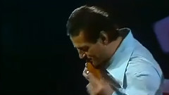 James Last,音乐短片 - 孤独的牧羊人 云雀