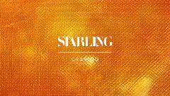 欧美群星 - Craving