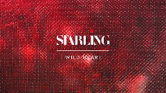 欧美群星 - Wild Heart