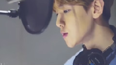 边伯贤(EXO) - 心跳扑通(Beautiful)