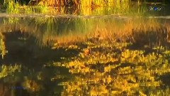 音乐短片 - Autumn Breeze