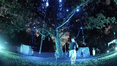 音乐短片 - Cycropia Kodama In 2mins