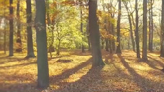 音乐短片 - Theresienstein Stadtpark Hof Im Herbst 201