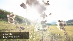 华语群星 - 我们回