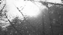 音乐短片 - Magical Winter(神奇的冬日)