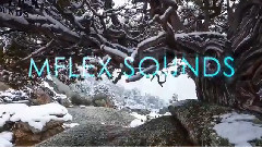 音乐短片 - DREAMS