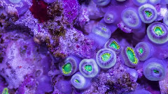 音乐短片 - Time-Lapse