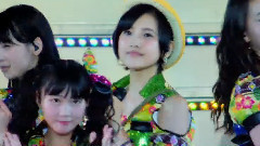 AKB48,HKT48,渡边麻友,前田敦子,指原莉乃 - 17岁的花季