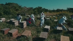 日本群星 - 3 times