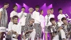 Seventeen - 珍爱
