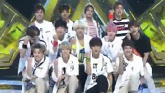 Seventeen - 珍爱