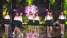 Lovelyz - Ah-Choo - KBS音乐银行 现场版 15/11/13