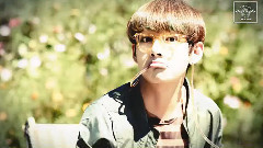 V(防弹少年团),田柾国(防弹少年团),防弹少年团 - 2016 Season's Greeting