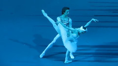 舞蹈视频 - 芭蕾舞<天鹅湖>