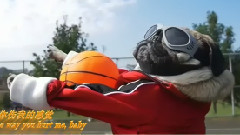 音乐短片 - Irresistible