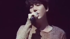 Super Junior - SJ ELF十载相伴 致我挚爱的少年