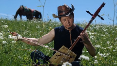 音乐短片 - 鸿雁