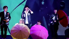 JJCC - On The Flower Bed