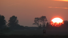 音乐短片 - Raw Footage For One Day On Earth