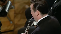 音乐短片 - 马勒<D大调第九交响曲>伯恩斯坦指挥