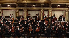 音乐短片 - 贝多芬c小调第五交响曲 命运 维也纳爱乐乐团