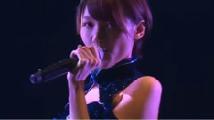SNH48 - 夜蝶