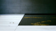 音乐短片 - The Third & The Seventh