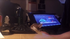 音乐短片 - The Animators Assistant