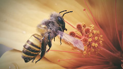 音乐短片 - 3d Animated Short