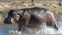 音乐短片 - Life 2009 Challenges Of Life Part 3