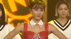 TAHITI - Skip